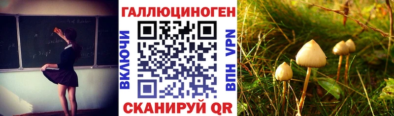 Псилоцибиновые грибы ЛСД  наркота  Калининец 